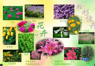 建材市場價格查詢-中國建材在線,最全面的大宗原材料線上供應市場、最多、最全原材料貨物銷售等