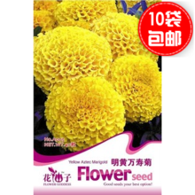 【明黃萬壽菊種子】最新最全明黃萬壽菊種子 產品參考信息