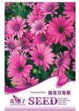 【南非植物】最新最全南非植物 產品參考信息