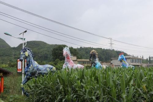 修文縣普陀村 黨建引領 打造宜居宜業宜游村居樣板